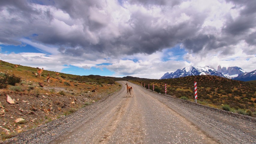 Mile Patagoni Chili